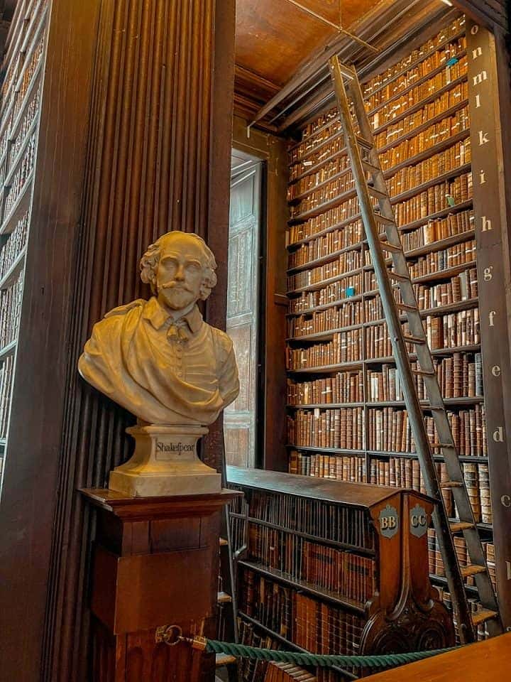 Detail of Long Room shelving