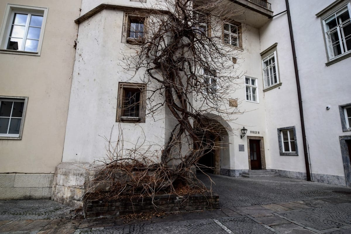 The outside of the staircase