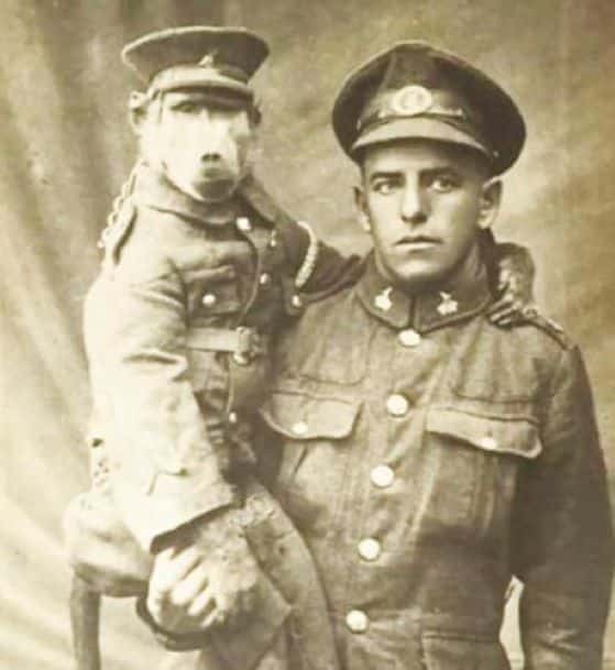 From Farm To Frontline: The Remarkable Journey Of Albert Marr And Jackie The Baboon