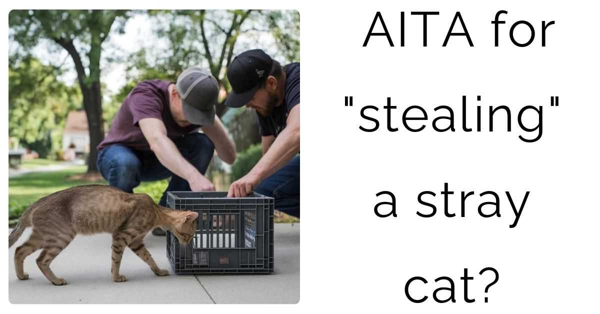 AITA for “stealing” a stray cat?
