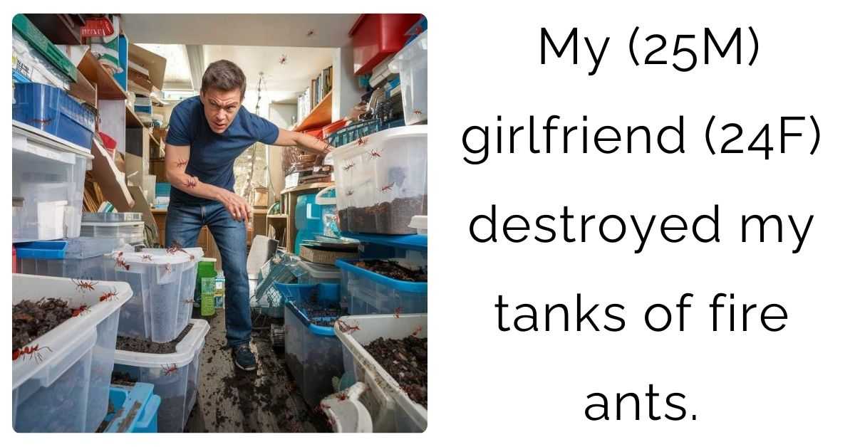 My (25M) girlfriend (24F) destroyed my tanks of fire ants.