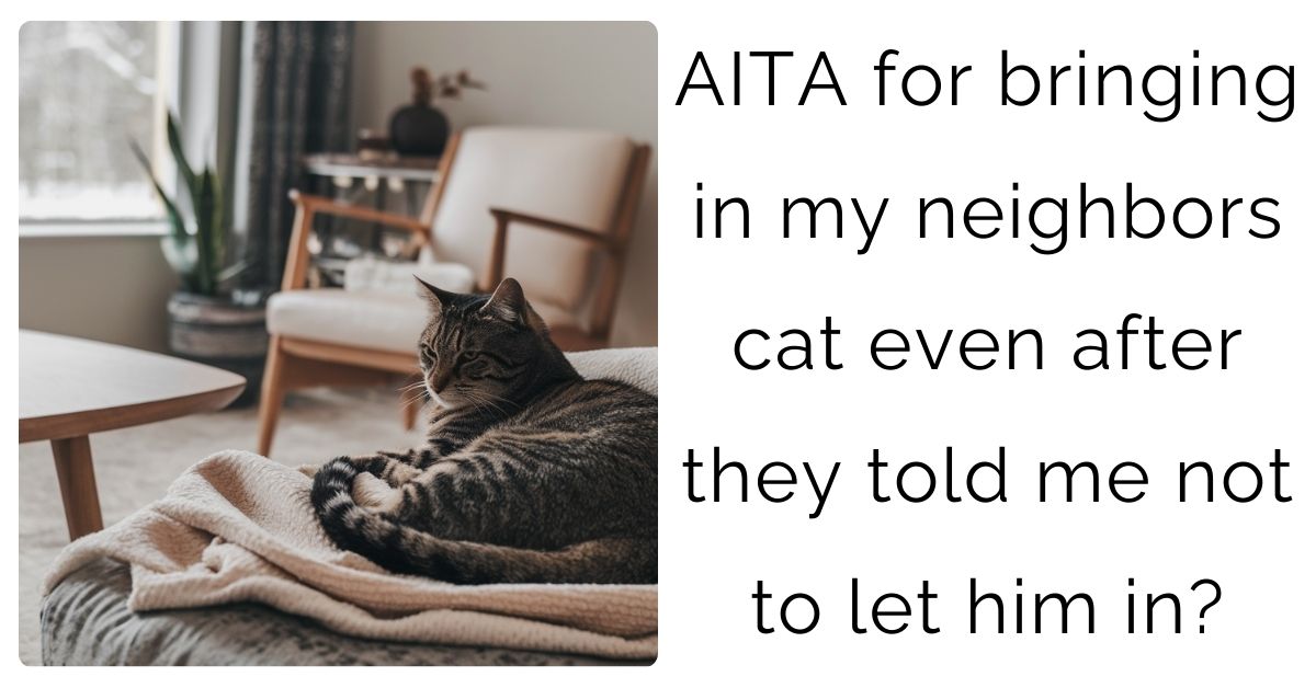 AITA for bringing in my neighbors cat even after they told me not to let him in?