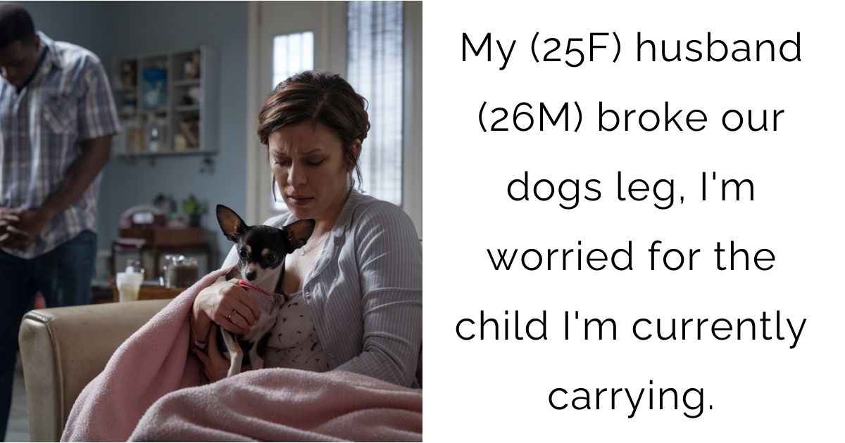 My (25F) husband (26M) broke our dogs leg, I’m worried for the child I’m currently carrying.