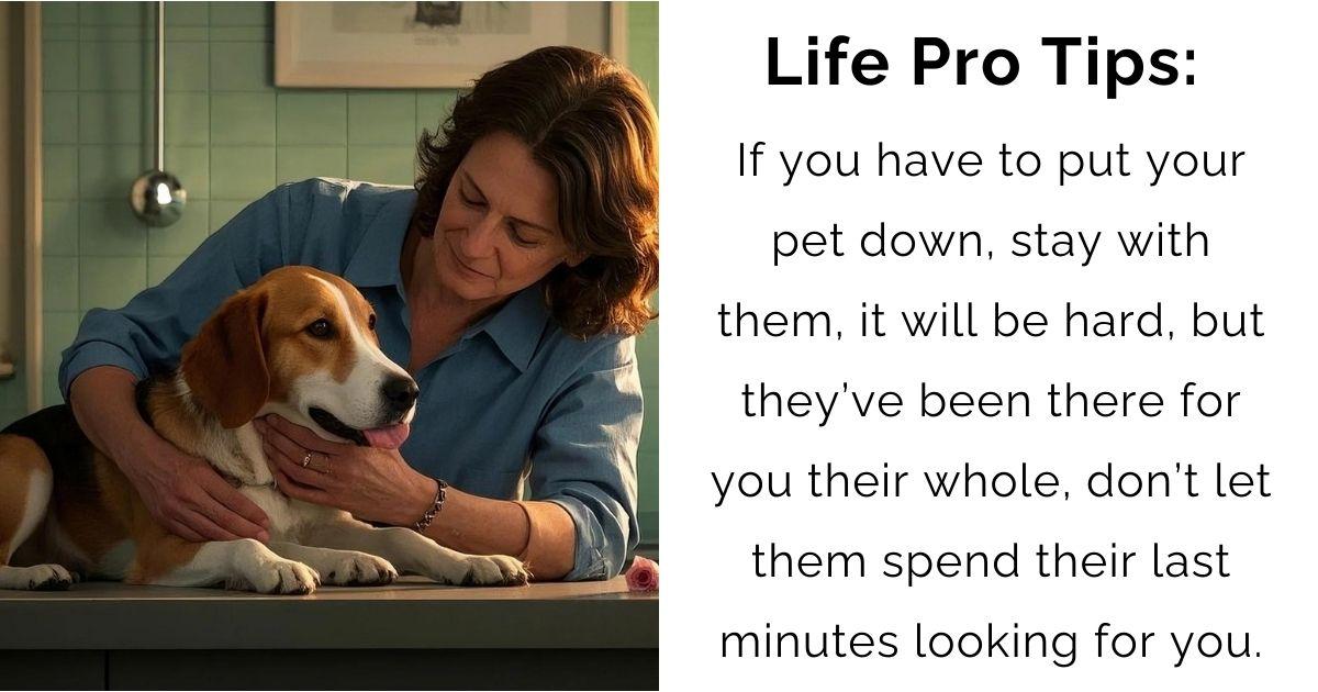 Staying Till the End: A Tender Journey Through Pet Farewells