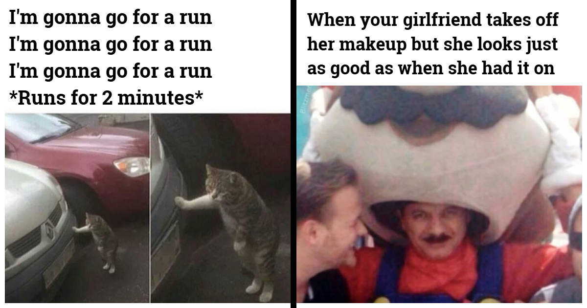 You Know What Life Is? It’s Just One Big, Sadly True Meme